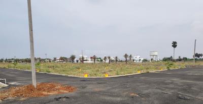 Project Images