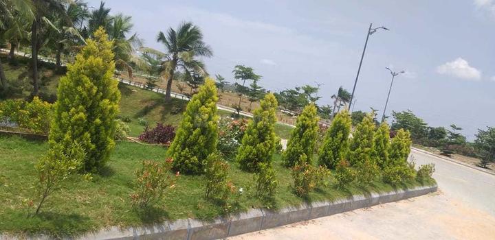 Gallery Cover Pic of Emerald L Emerald