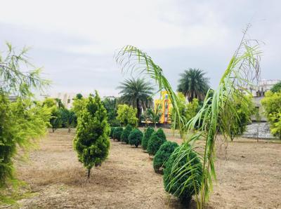 Project Image of 1050.0 - 1250.0 Sq.ft Residential Plot Plot for buy in Kaushalya Pink Heritage