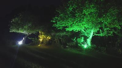 Project Image of 1000.0 - 2500.0 Sq.ft Residential Plot Plot for buy in Royal Upvan