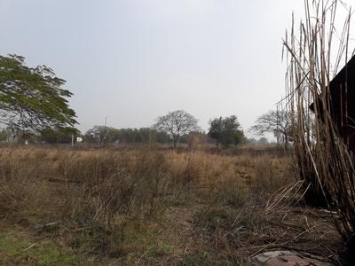 Ansal API Plot Zone I 3B 4A 4B Elevation 1