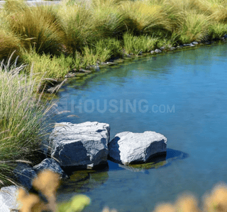 Project Image of 1399.0 - 5000.0 Sq.ft Residential Plot Plot for buy in Ascenta Basalt Hills