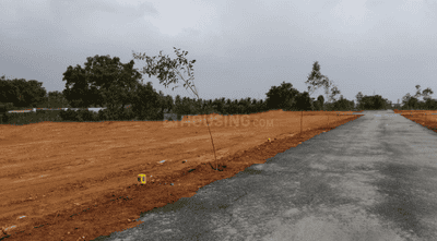 Project Images