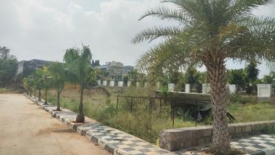 Project Image of 1494.0 - 2457.0 Sq.ft Residential Plot Plot for buy in Status Symbol