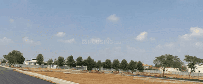 Project Images