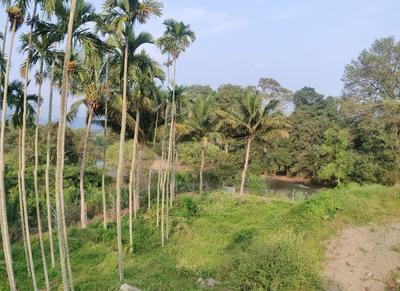 Project Image of 1000.0 - 5663.0 Sq.ft Residential Plot Plot for buy in ABI Maayya