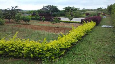 Project Image of 1163.0 - 3875.0 Sq.ft Residential Plot Plot for buy in ZED Rainseed