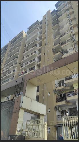 VXL French Arcade - Image 3