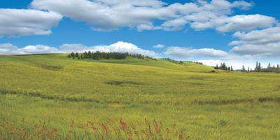 Project Image of 1152.0 - 10064.0 Sq.ft Residential Plot Plot for buy in Oxyzen Viento Valley