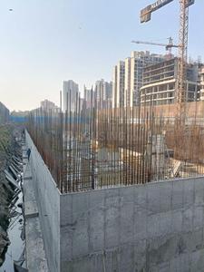 Project Image of 735.18 - 1652.26 Sq.ft 2 BHK Apartment for buy in Alliaance The View