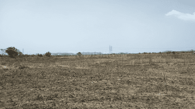 Project Image of 1000.0 - 10000.0 Sq.ft Residential Plot Plot for buy in Avani City Plots In Dronagiri