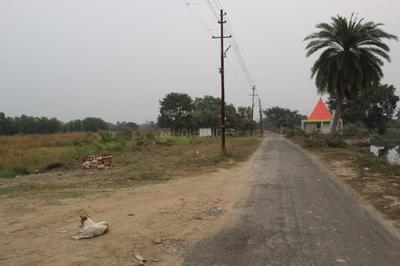 Project Image of 720.0 - 2160.0 Sq.ft Residential Plot Plot for buy in Sai Niwas