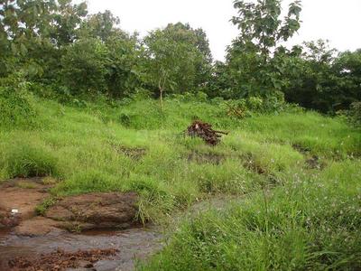 Project Image of 2000.0 - 2400.0 Sq.ft Residential Plot Plot for buy in Disha Landmarc Silverscreen