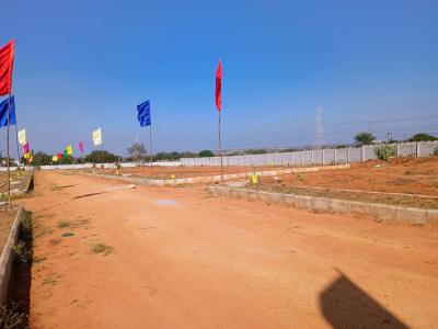Project Image of 1323.0 - 4185.01 Sq.ft Residential Plot Plot for buy in Pearl City