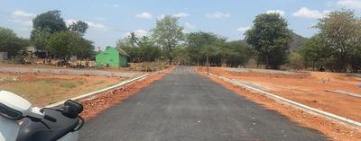 Project Images