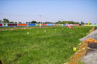 Project Image of 700.0 - 2400.0 Sq.ft Residential Plot Plot for buy in Sri Sai Balaji Nagar Phase 1
