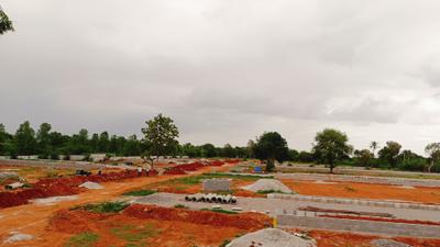 Project Image of 1350.0 - 1800.0 Sq.ft Residential Plot Plot for buy in Western County