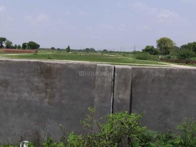 Project Images