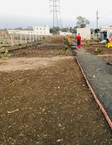 Project Image of 600.0 - 2000.0 Sq.ft Residential Plot Plot for buy in Hari Indra Hans Nagar Phase II