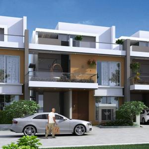 Project Images