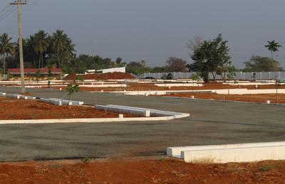 Project Images