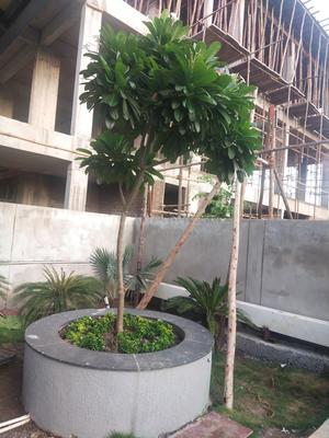 Project Images