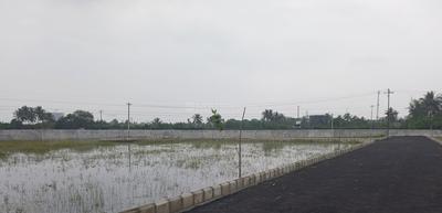 Project Images