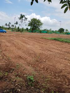 Project Image of 435.5 - 3825.0 Sq.ft Residential Plot Plot for buy in Vetri Avenue