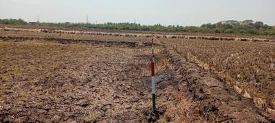 Project Image of 1000.0 - 10000.0 Sq.ft Residential Plot Plot for buy in Plot Wale Chirle