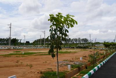Project Image of 1200.0 - 1500.0 Sq.ft Residential Plot Plot for buy in Alora Woods And Himagiri Arcadia