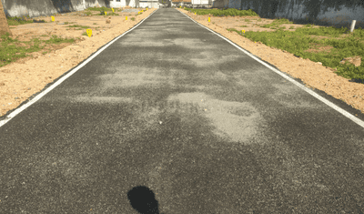Project Images