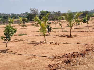 Project Image of 5445.0 - 9000.0 Sq.ft Residential Plot Plot for buy in Sahasra Mango Garden Phase 1