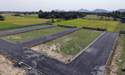 Project Images