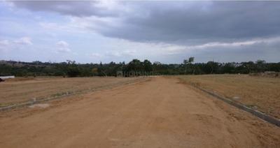 Project Image of 1162.0 - 4000.0 Sq.ft Residential Plot Plot for buy in Bhoomika Mango Grove II