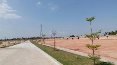 Project Image of 512.0 - 3000.0 Sq.ft Residential Plot Plot for buy in NBR Trifecta