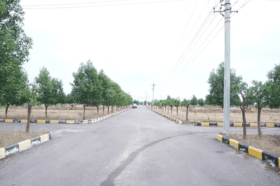 Project Image of 1620.0 - 1800.0 Sq.ft Residential Plot Plot for buy in Lighthouse Pharma Green City