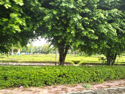 Project Image of 873.0 - 1495.0 Sq.ft Residential Plot Plot for buy in Ansal Town Yamuna Nagar
