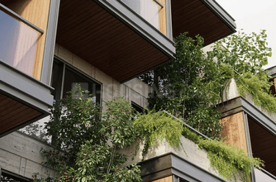 Spectra Reserve Elevation 1