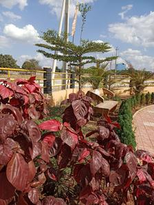 Project Image of 1350.0 - 3600.0 Sq.ft Residential Plot Plot for buy in Advaitha Enclave
