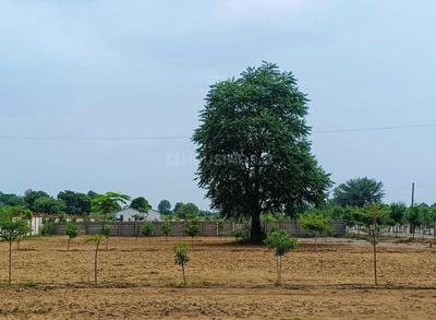 Project Image of 1060.22 - 2092.09 Sq.ft Residential Plot Plot for buy in R B Hill Station Valley Farmhouse