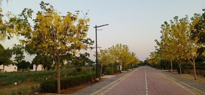 Project Image of 1410.0 - 7400.0 Sq.ft Residential Plot Plot for buy in Raheja Aranya City