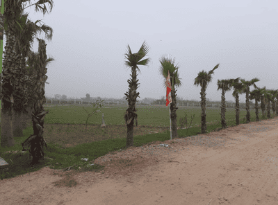 Project Image of 900.0 - 9000.0 Sq.ft Residential Plot Plot for buy in Omshri Royal City Farms