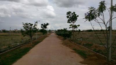 ZED Rainseed Elevation 3