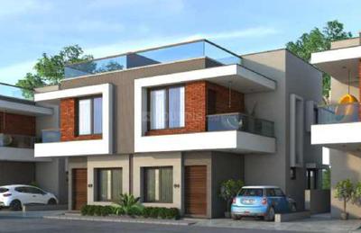 Project Images