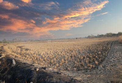 Media Solutions In Punade Plot 1