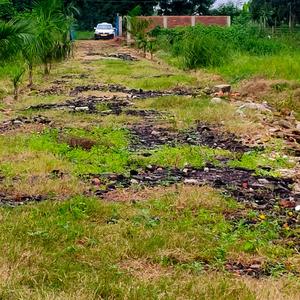 Project Image of 720.0 - 2160.0 Sq.ft Residential Plot Plot for buy in Sai Niwas