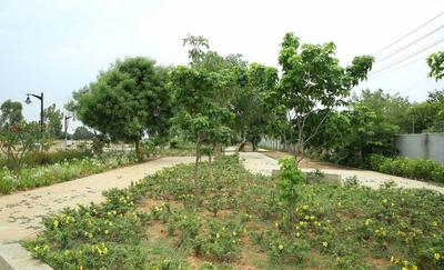 Project Image of 2248.0 - 3496.0 Sq.ft Residential Plot Plot for buy in Century Sports Village