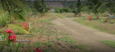 Project Images