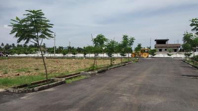 Project Image of 1503.0 - 3150.0 Sq.ft Residential Plot Plot for buy in Harmony Town East