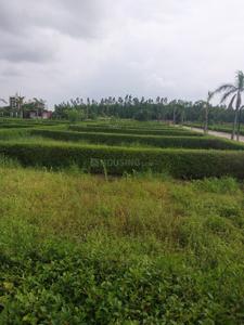 Project Image of 5500.0 - 32500.0 Sq.ft Residential Plot Plot for buy in Gurukul Anandam Hills View